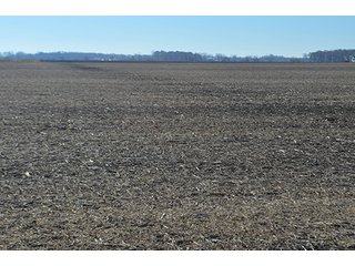 Tract 3 - FARMLAND AUCTION - 165.5+/- ACRES OFFERED IN 5 TRACTS OR COMBINATIONS IN EAST ALLEN COUNTY